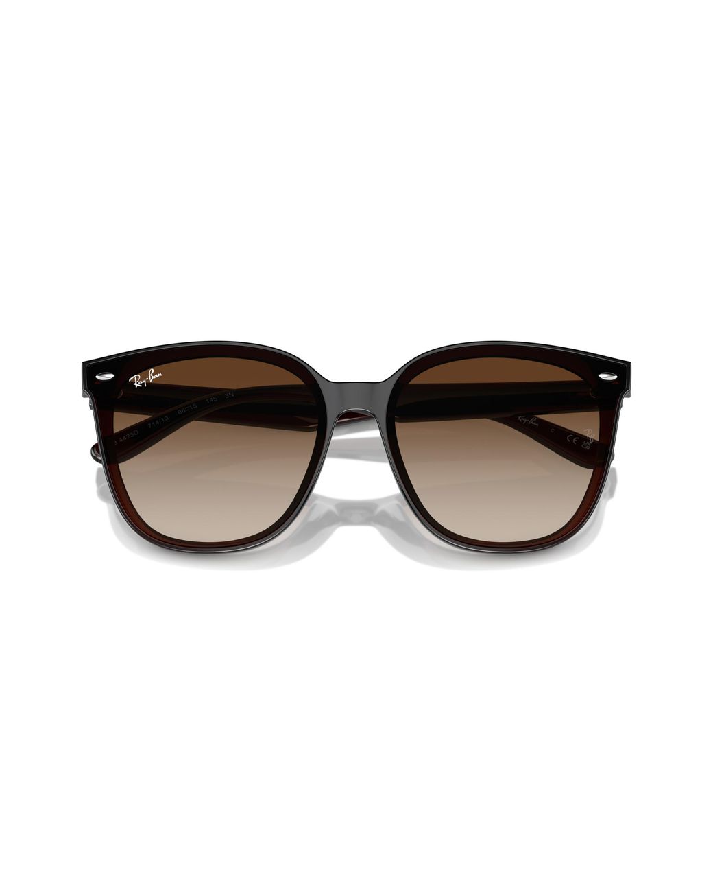 Ray-Ban Black Ray
