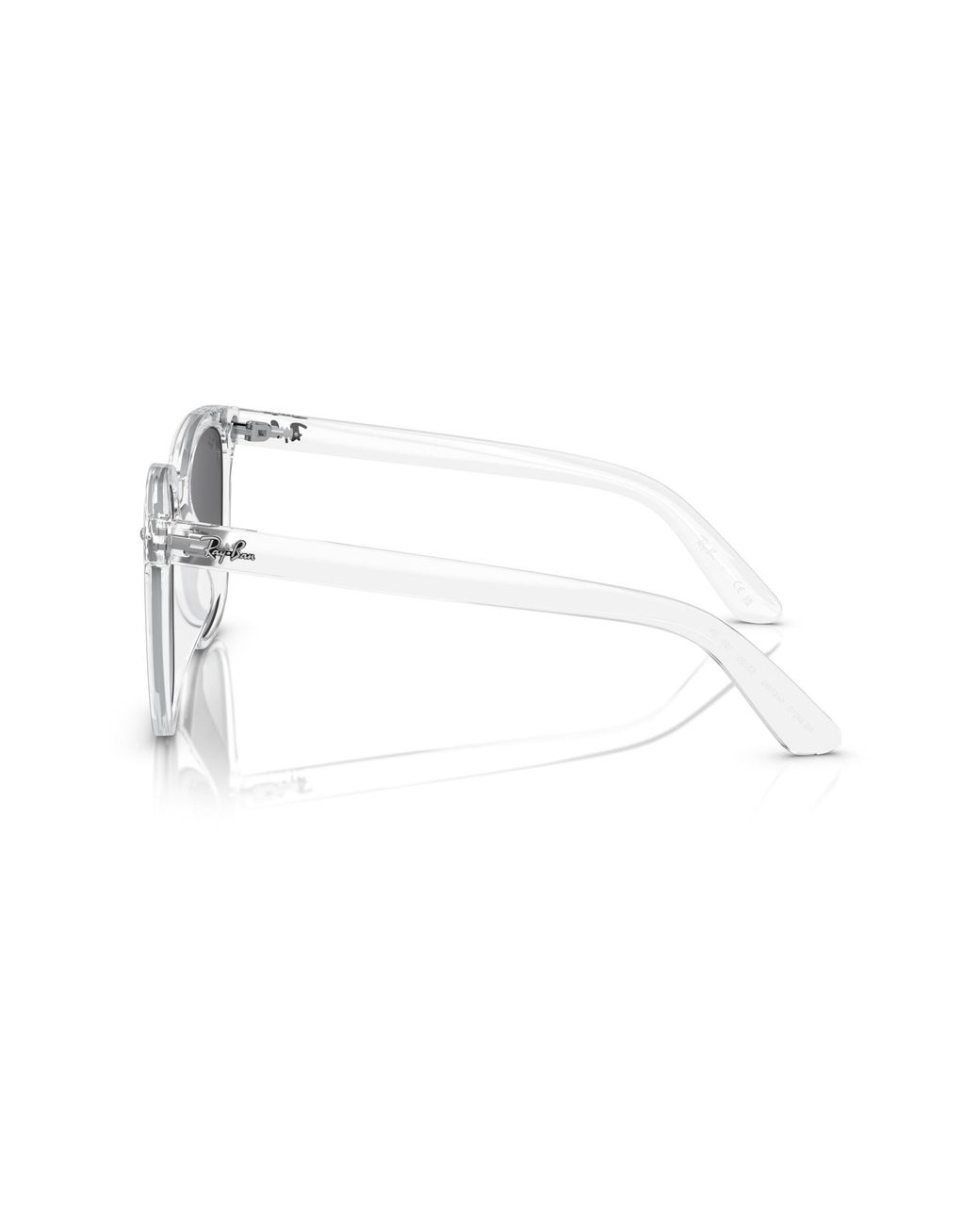 Ray-Ban Black Ray