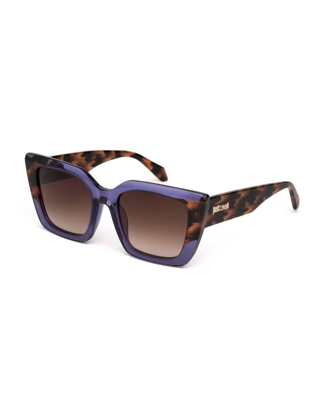 Just Cavalli Black Sjc099V 0D81 Sunglasses Acetate Squared Normal Shaded