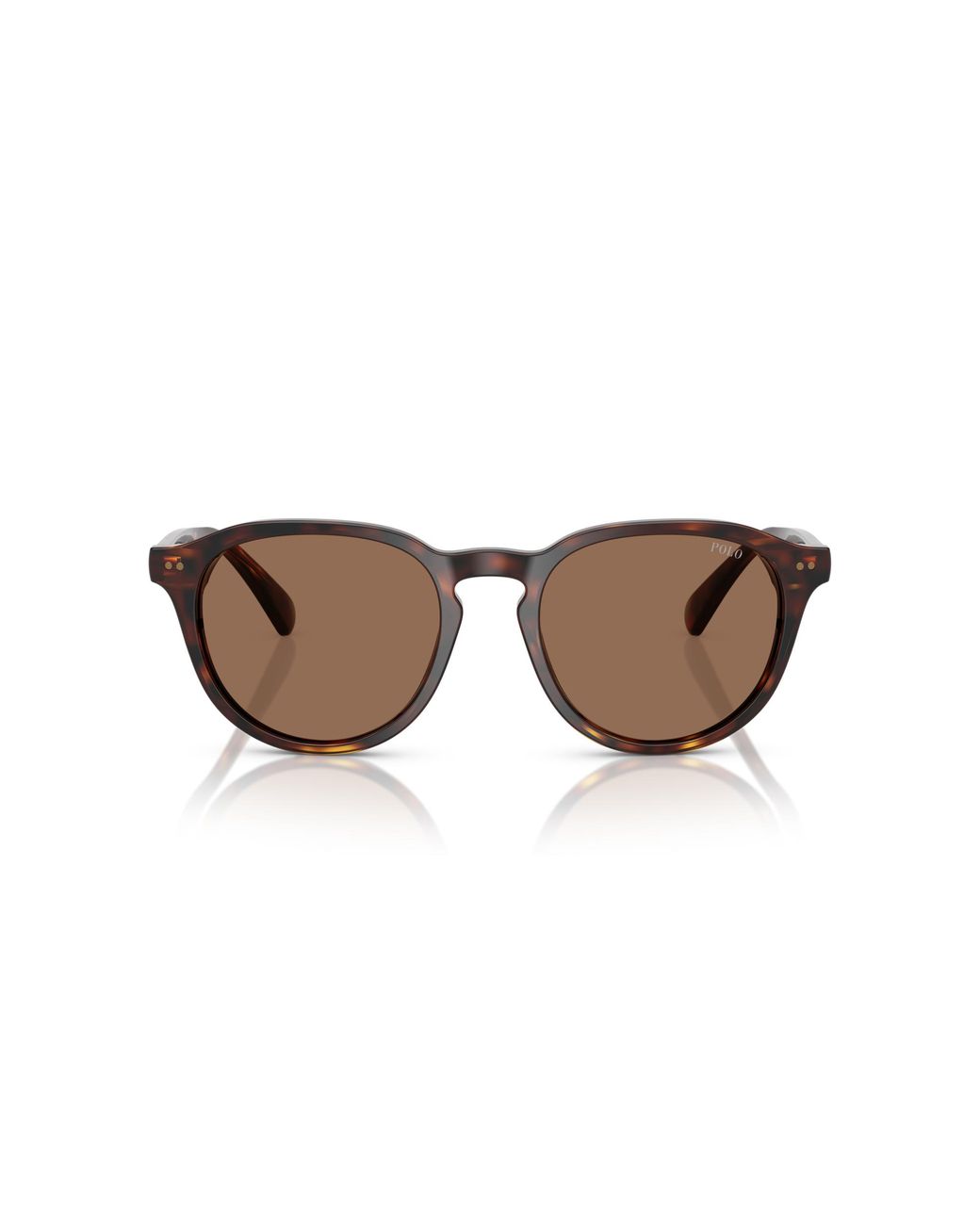 Polo Ralph Lauren Black Ph4221 613773 Sunglasses Acetate Pantos Normal for men
