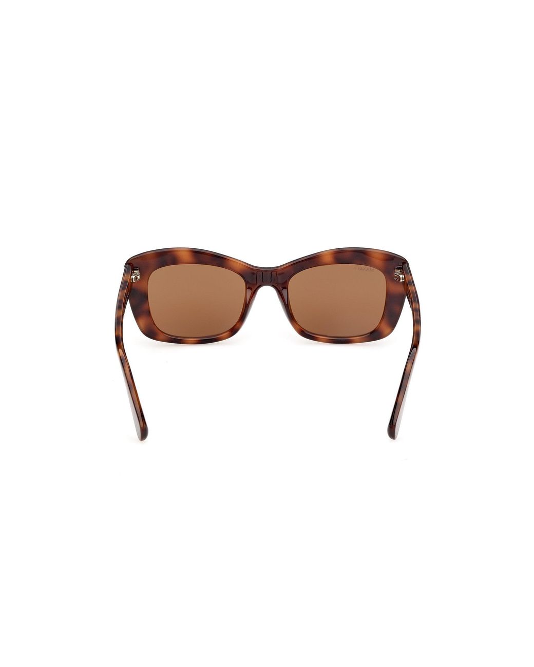 MAX&Co. Black Mo0176 52E Sunglasses Injected Butterfly Normal