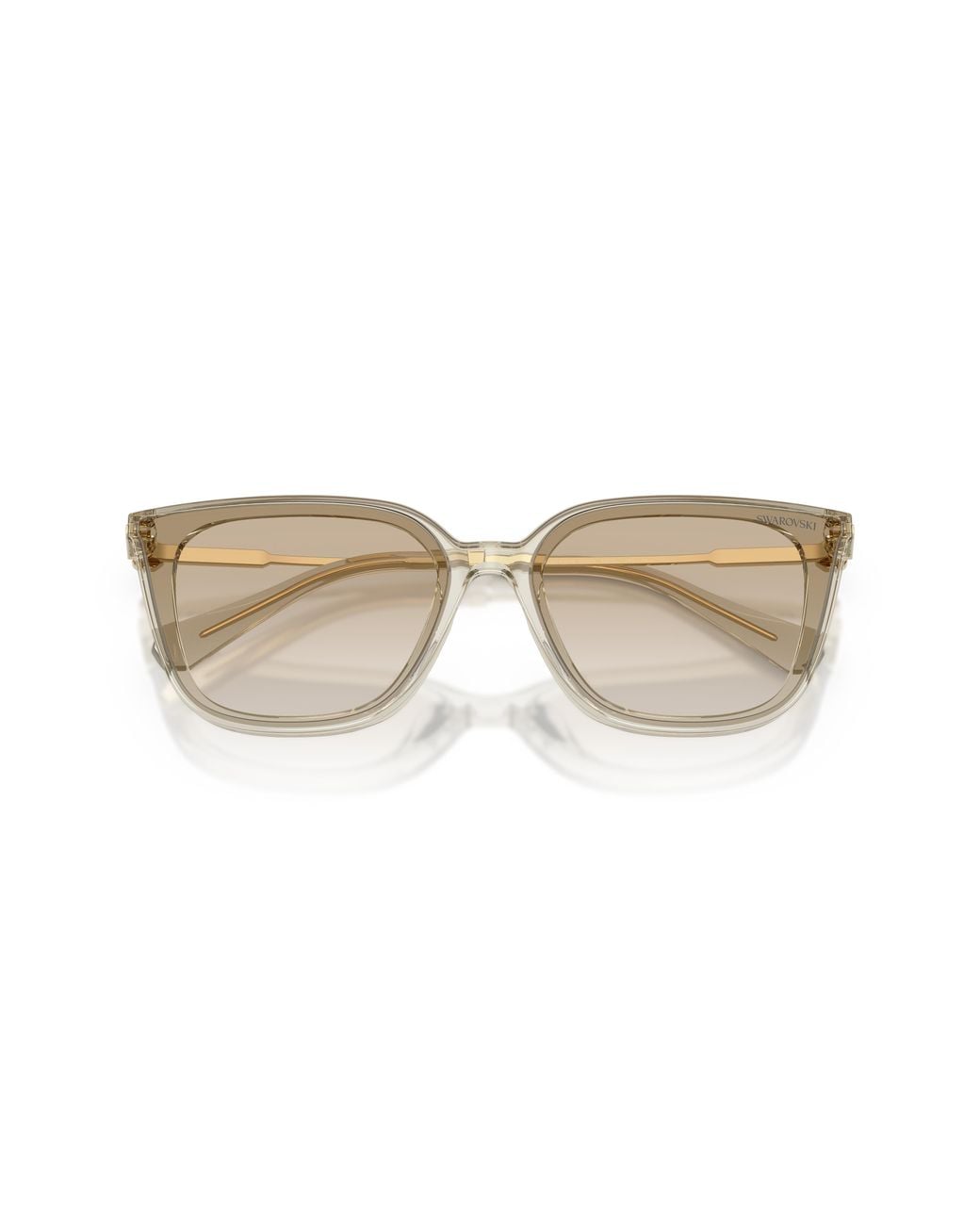 Swarovski Black Sk6054D 300311 Sunglasses Acetate Squared Normal Nuanced