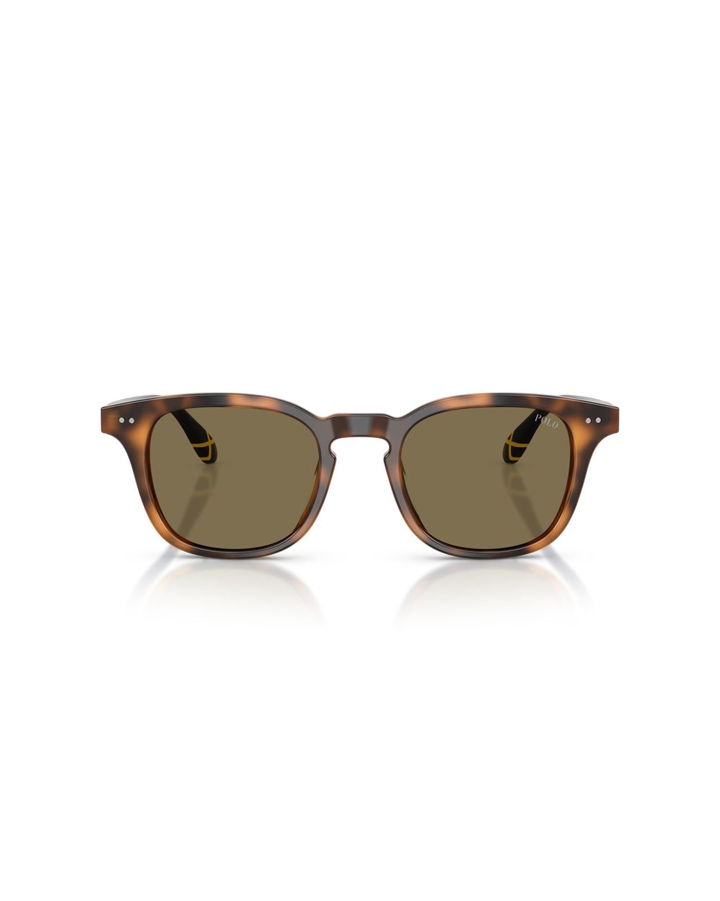 Polo Ralph Lauren Black Ph4251U 608973 Sunglasses Acetate Pantos Normal for men