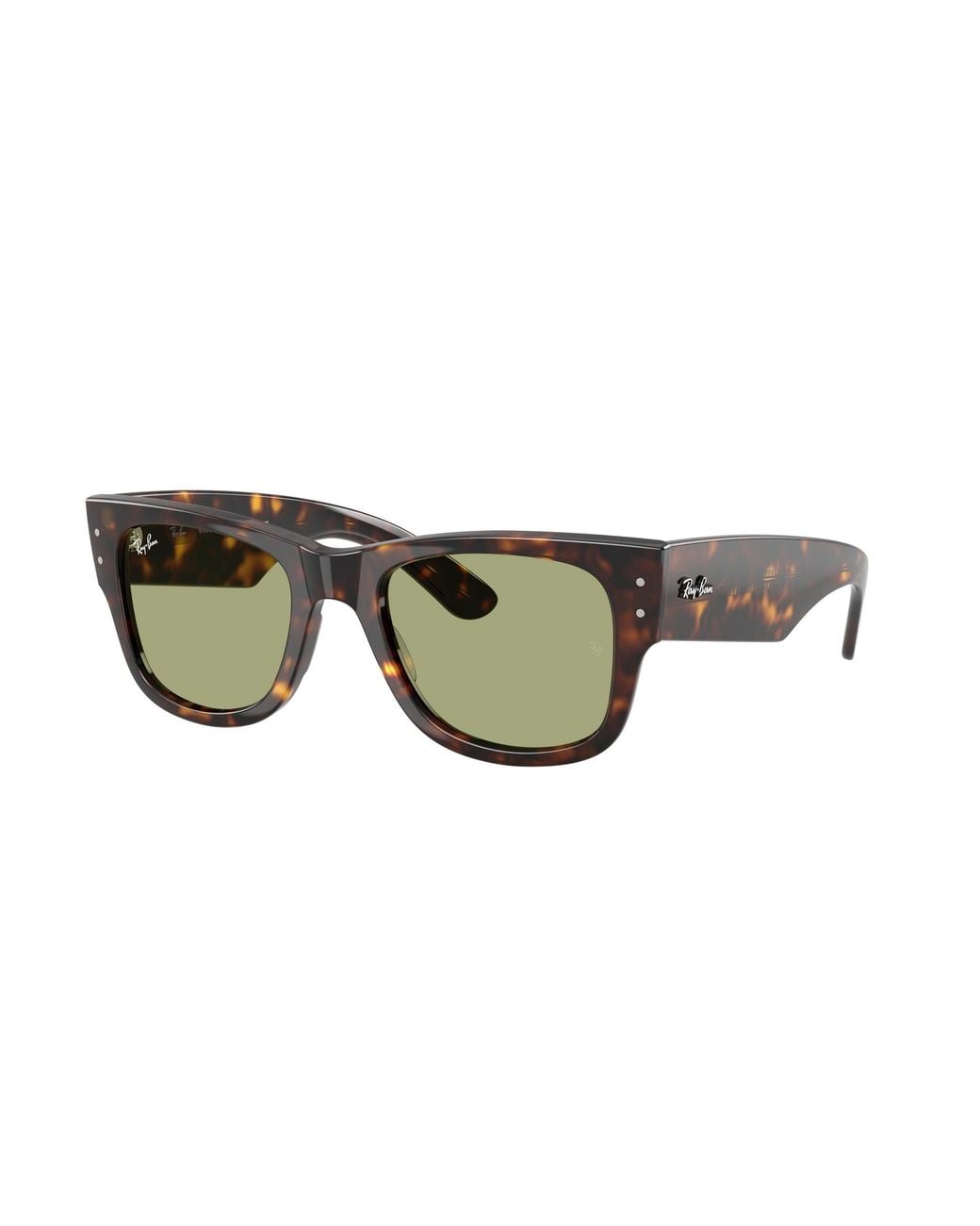 Ray-Ban Black Ray