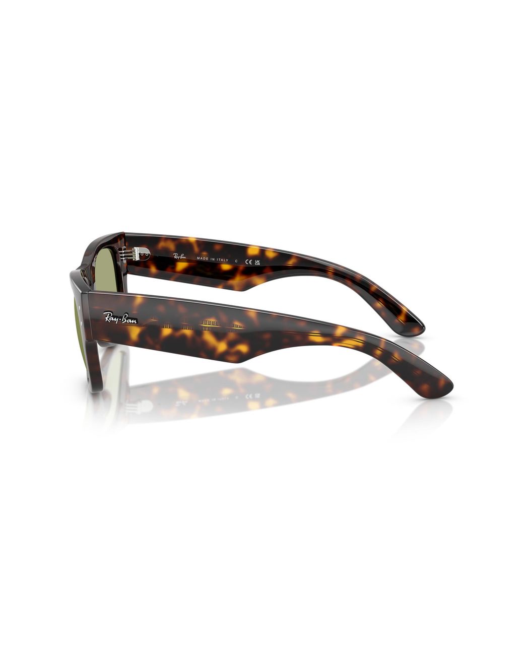 Ray-Ban Black Ray