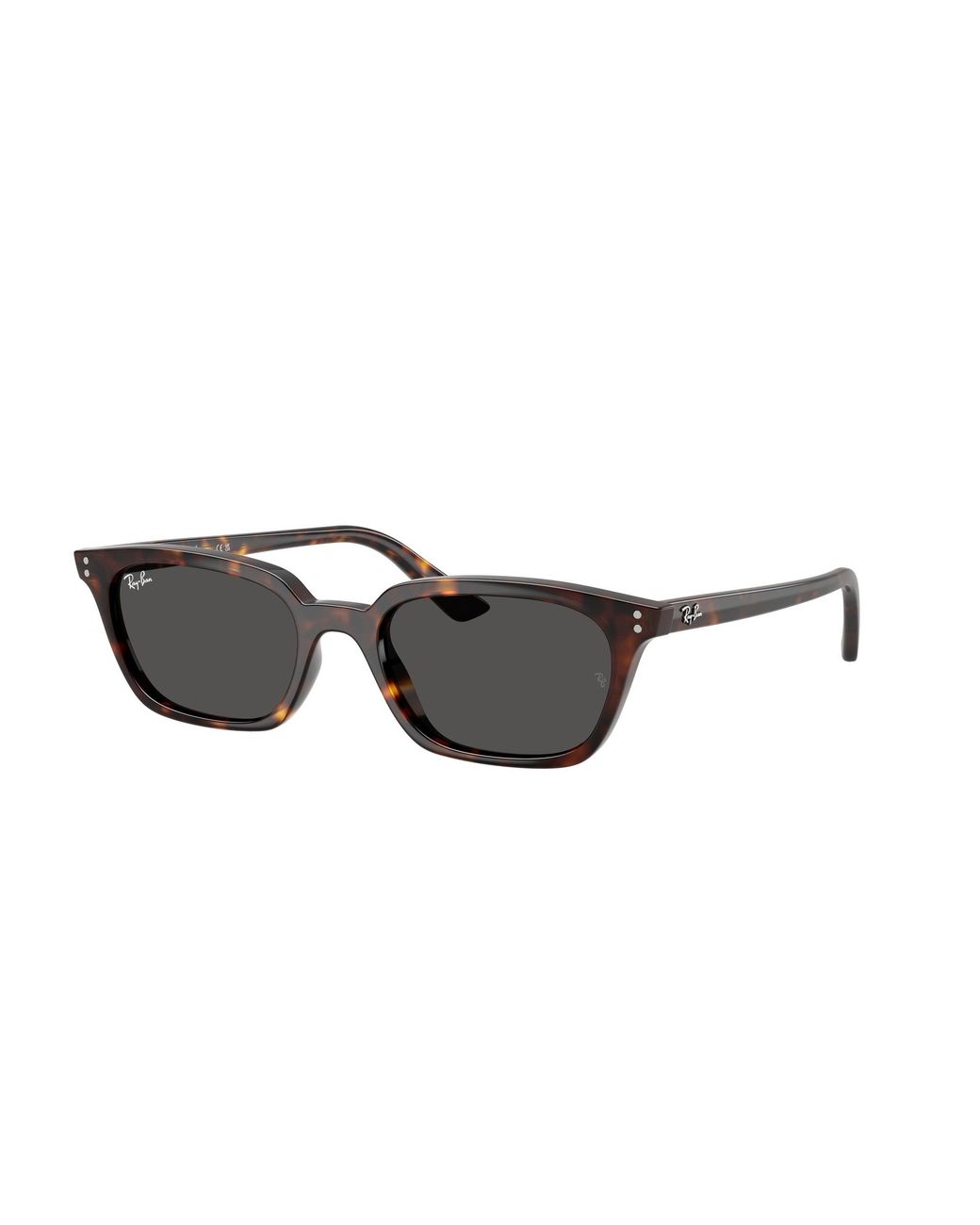 Ray-Ban Black Ray