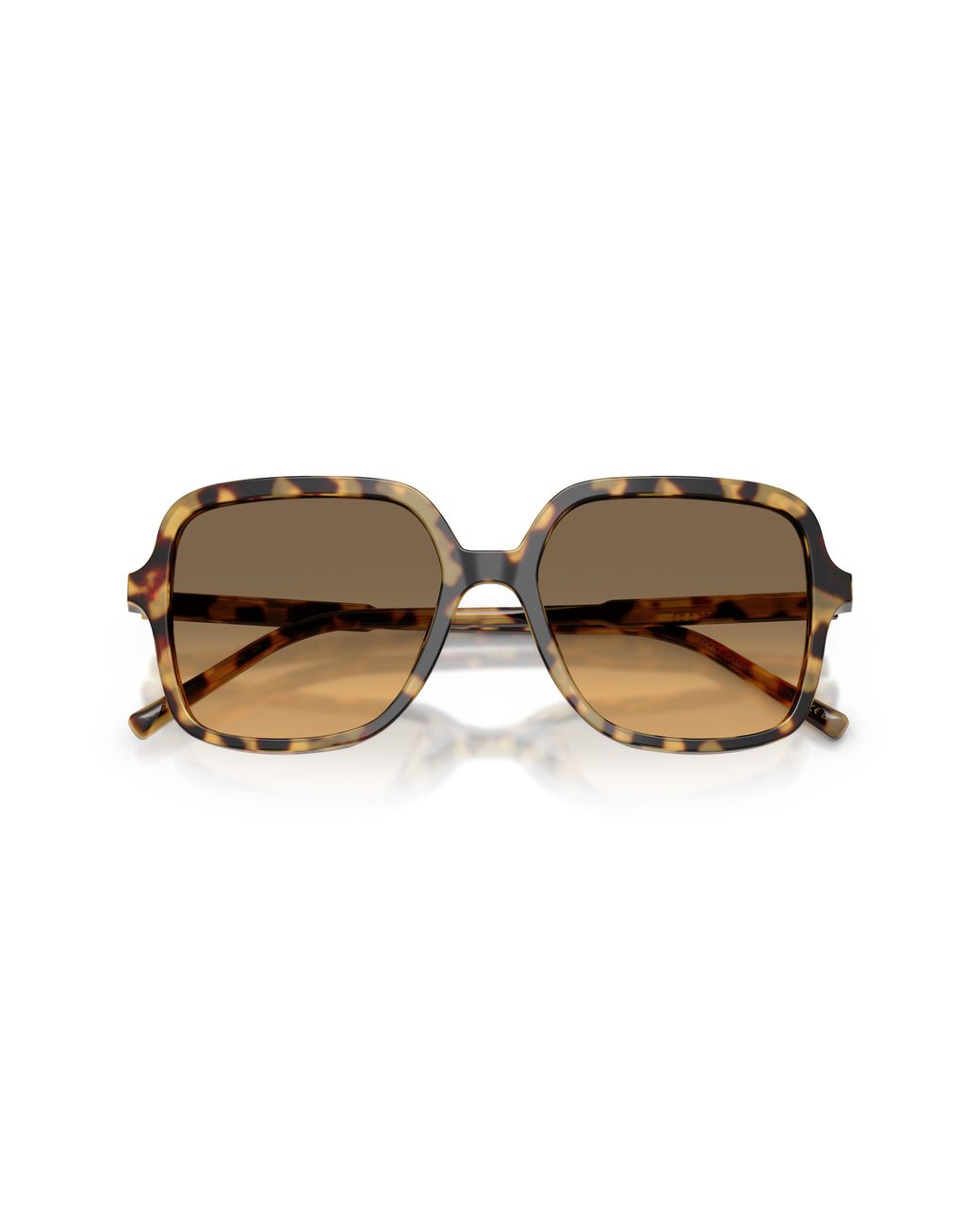Dolce & Gabbana Black Dg4539 512/11 Sunglasses Acetate Squared Normal Nuanced