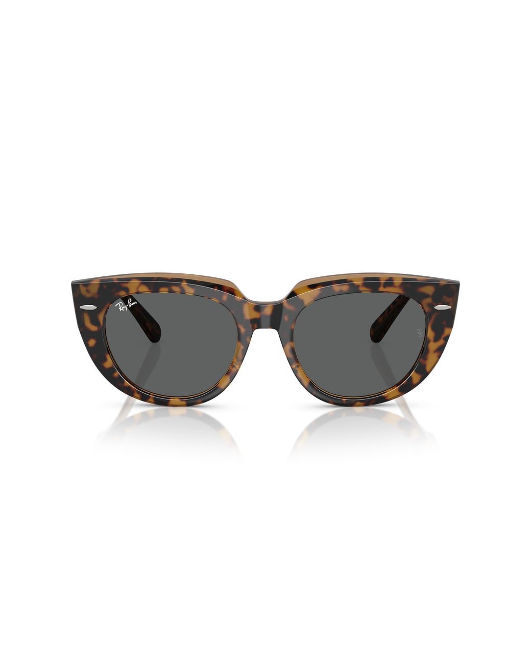 Ray-Ban Black Ray
