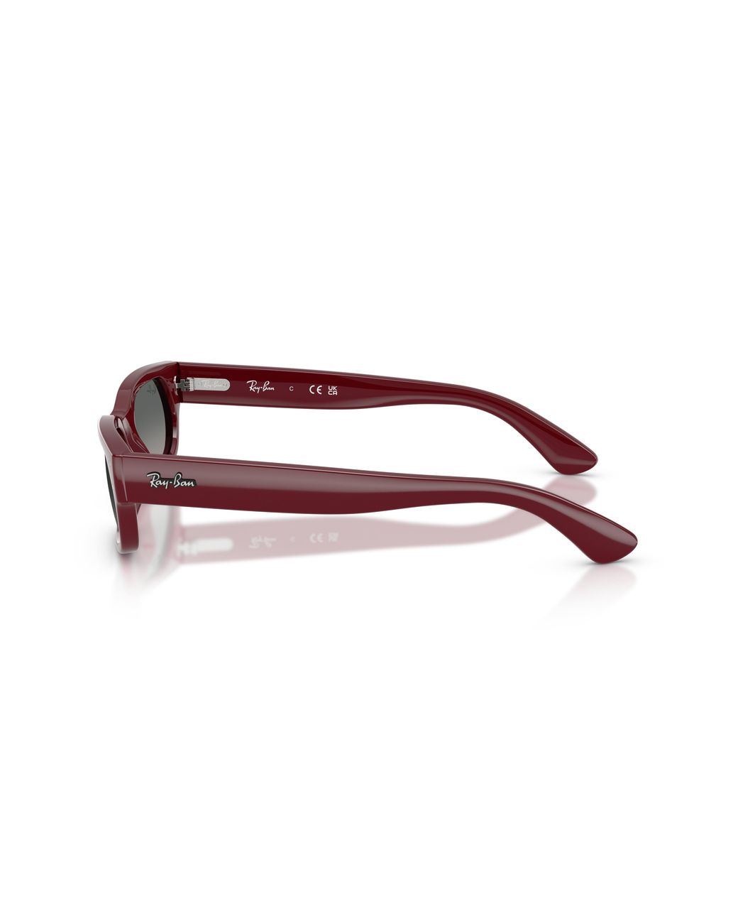 Ray-Ban Black Ray