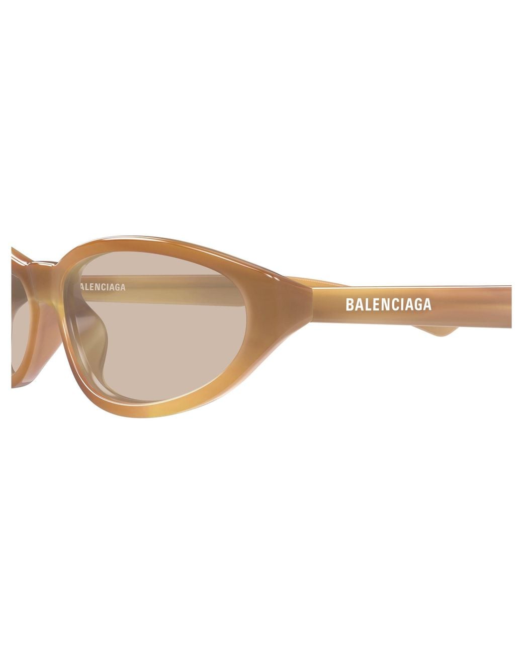 Balenciaga Black Bb0007S 017 Occhiali Da Sole Acetato Marrone Rotonda