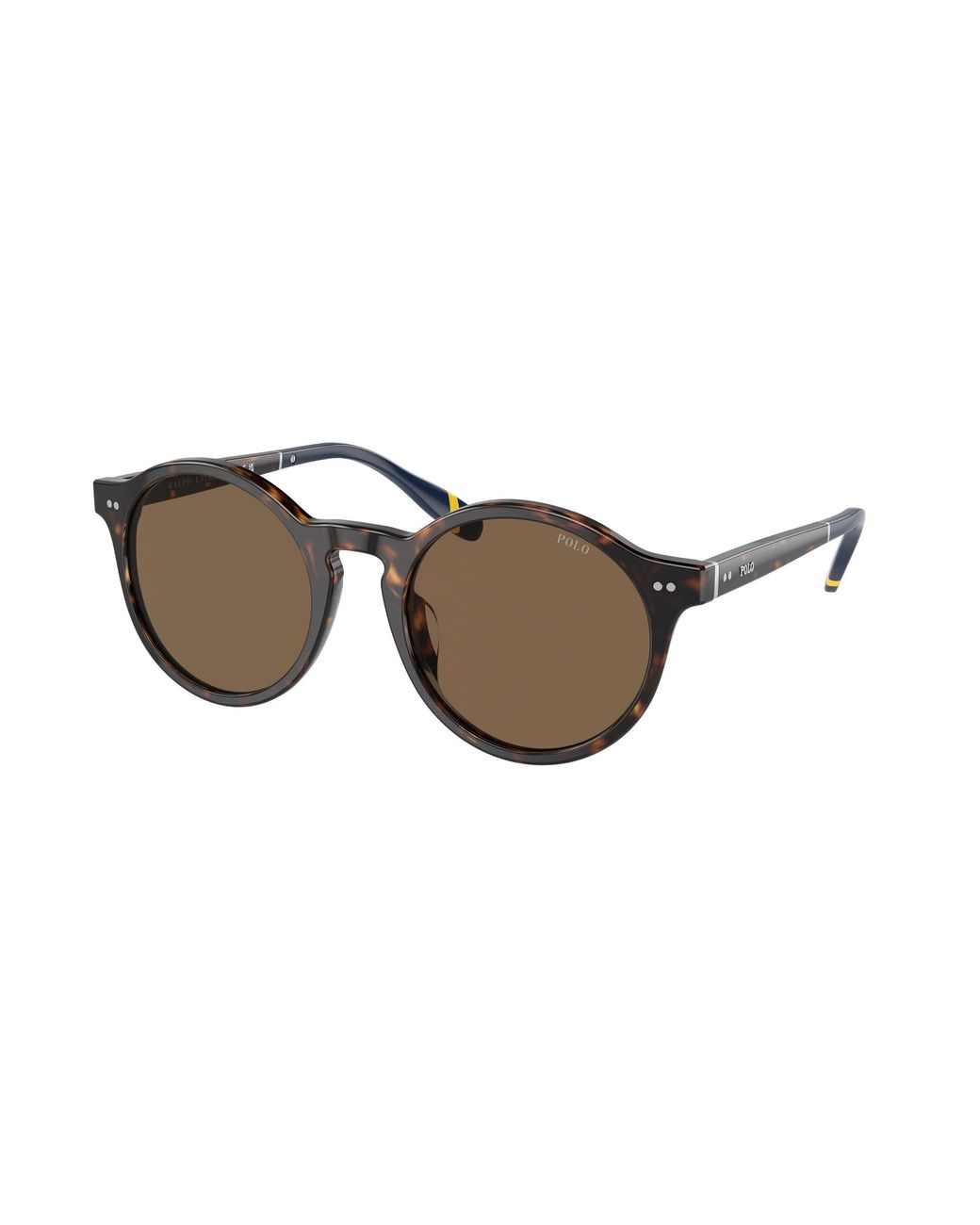 Polo Ralph Lauren Black Ph4204U 500373 Sunglasses Acetate Pantos Normal for men