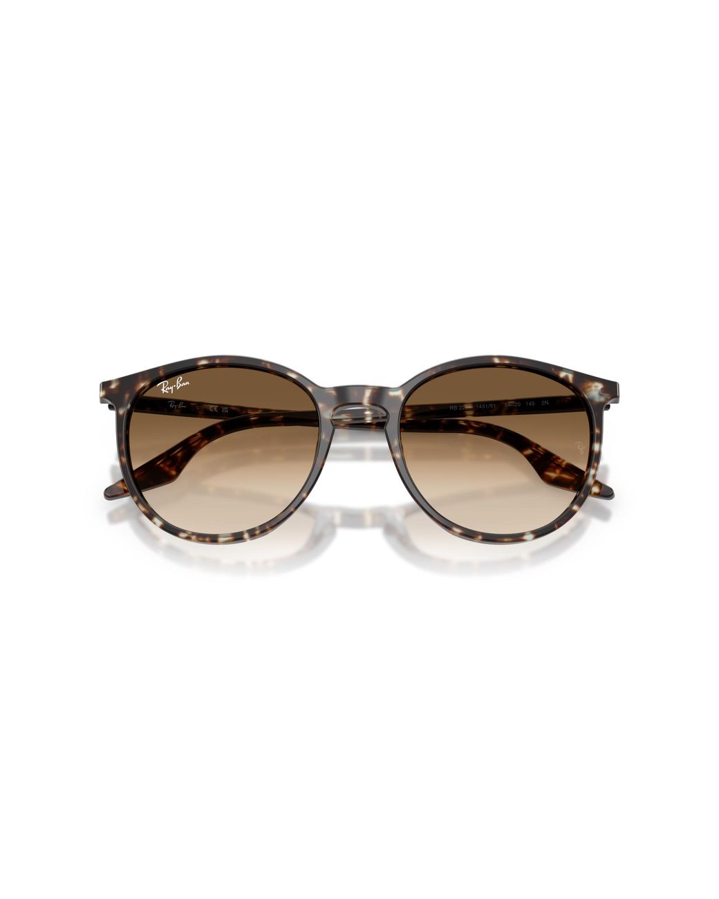 Ray-Ban Black Rb2204 Sunglasses