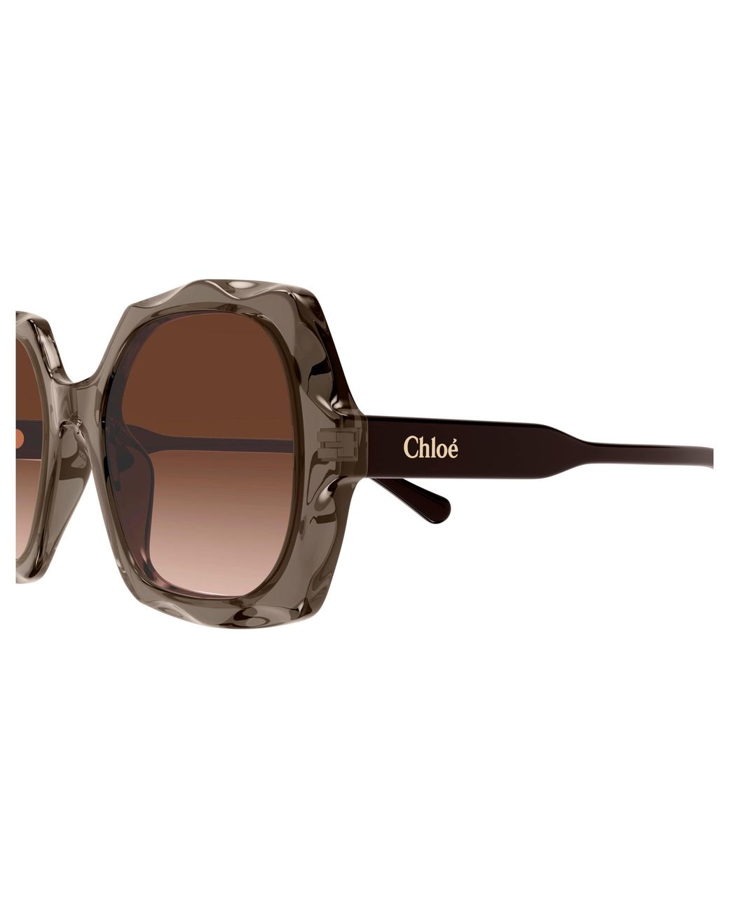 Chloé Black Ch0226S 007 Sunglasses Acetate Copper Squared