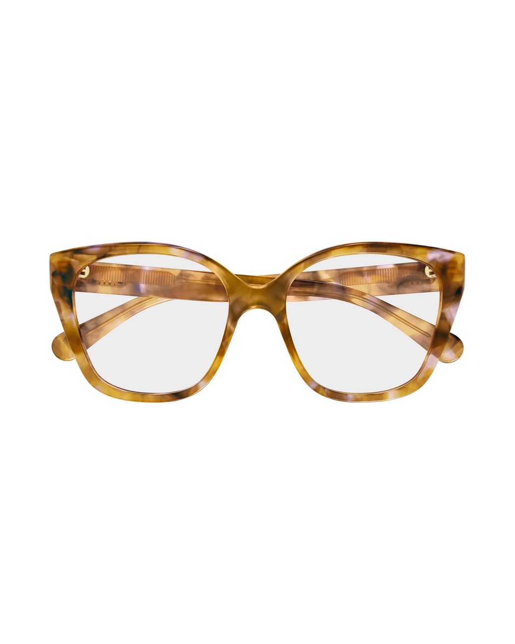 Chloé Black Ch0241O 006 Optical Frames Acetate Transparent Cat Eye