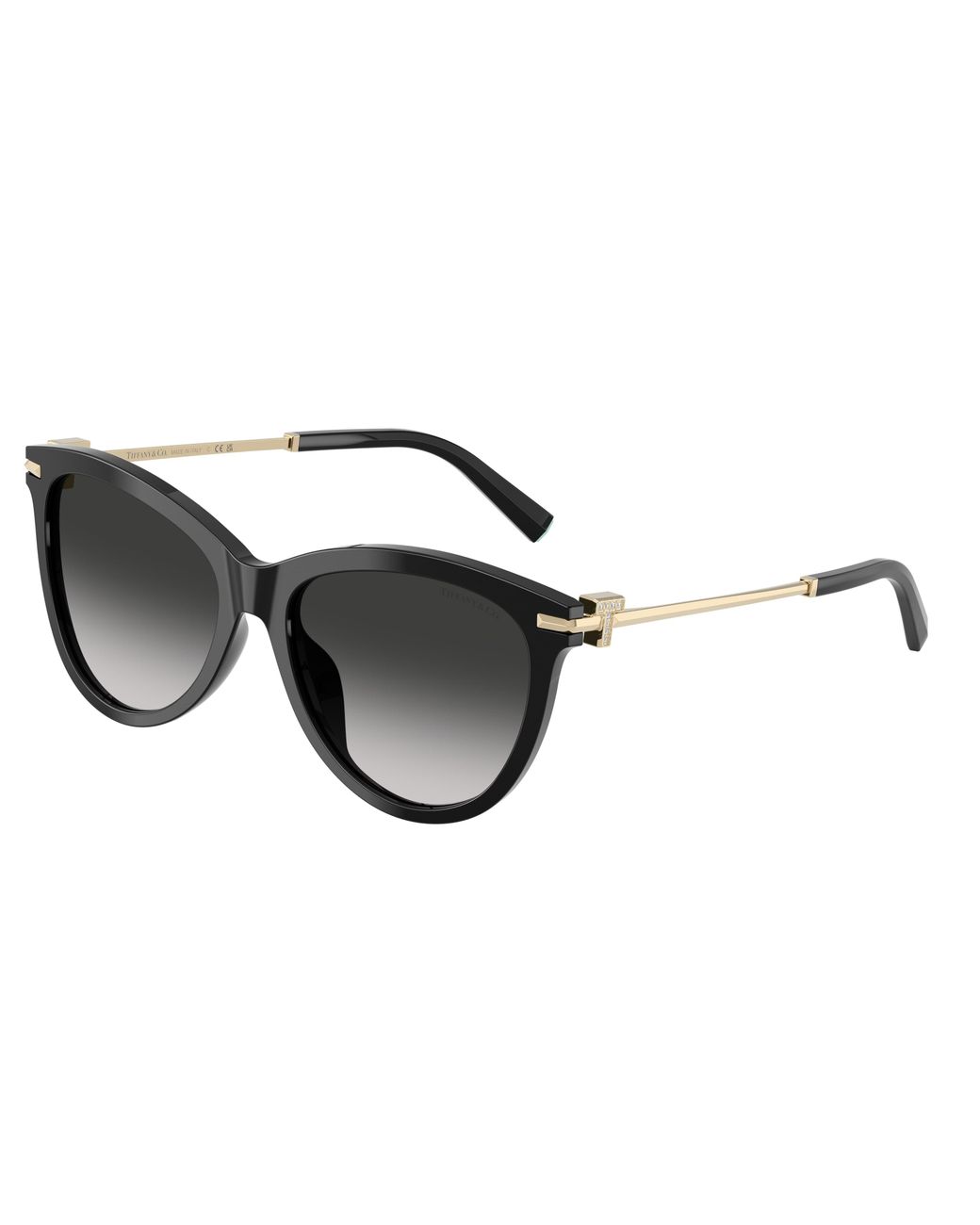 Tiffany & Co Black Tf4258Bu 80013C Sunglasses Acetate Pantos Normal Nuanced