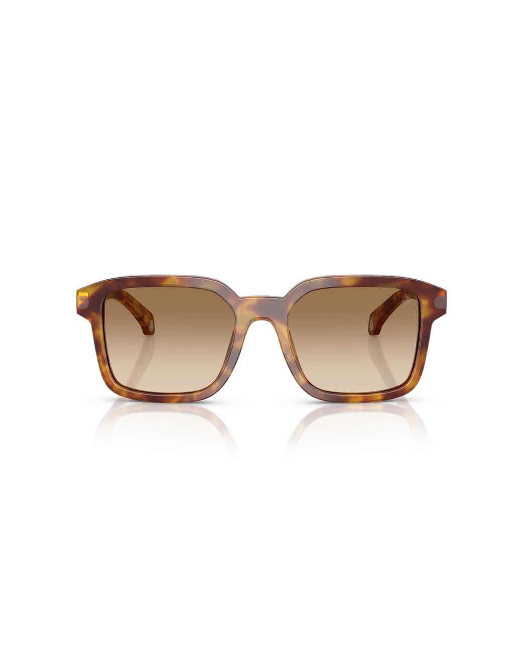Moncler Black Me6006 Quaderna 301189 Sunglasses Acetate Squared Normal Nuanced
