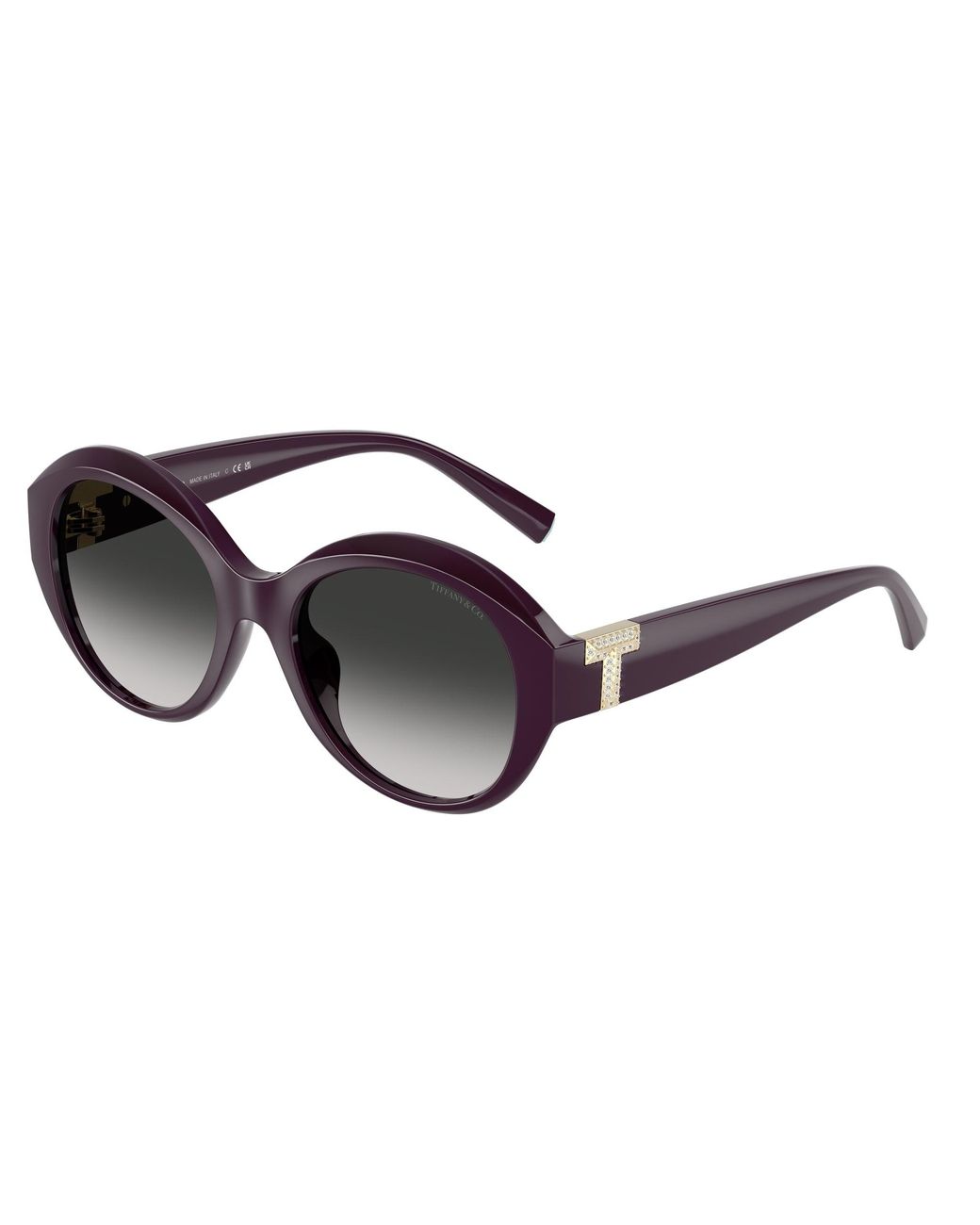 Tiffany & Co Black Tf4227Bu 84273C Sunglasses Injected Round Normal Shaded