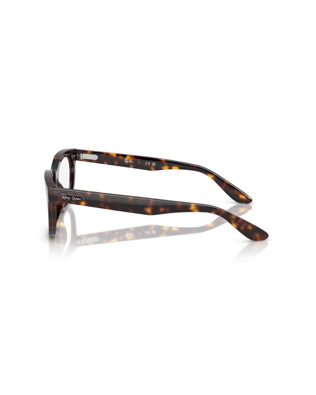 Ray-Ban Black Ray
