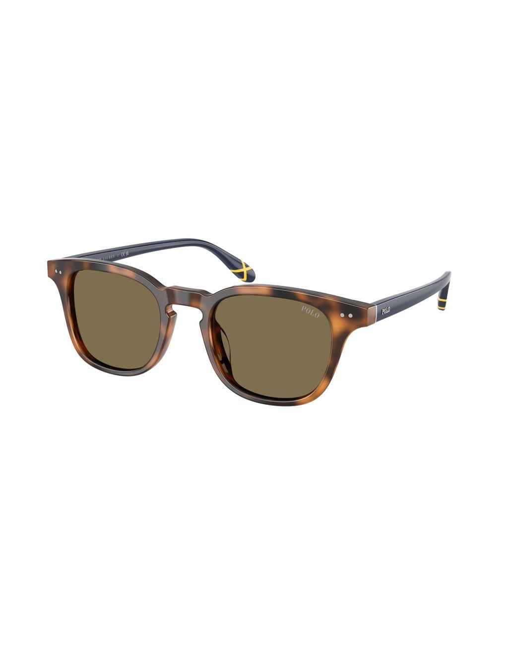 Polo Ralph Lauren Black Ph4251U 608973 Sunglasses Acetate Pantos Normal for men