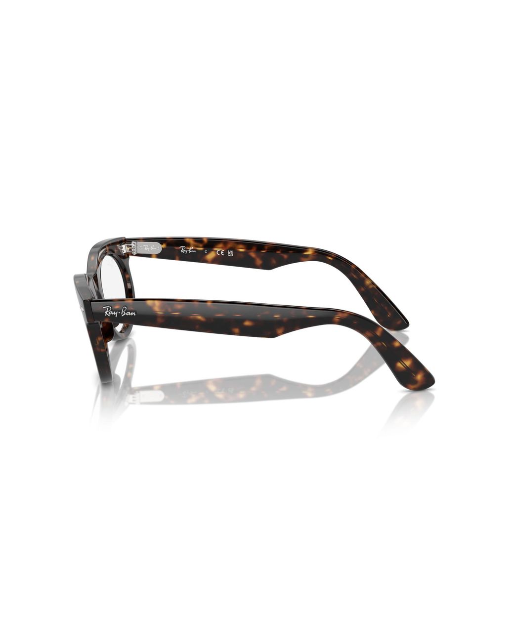 Ray-Ban Black Ray
