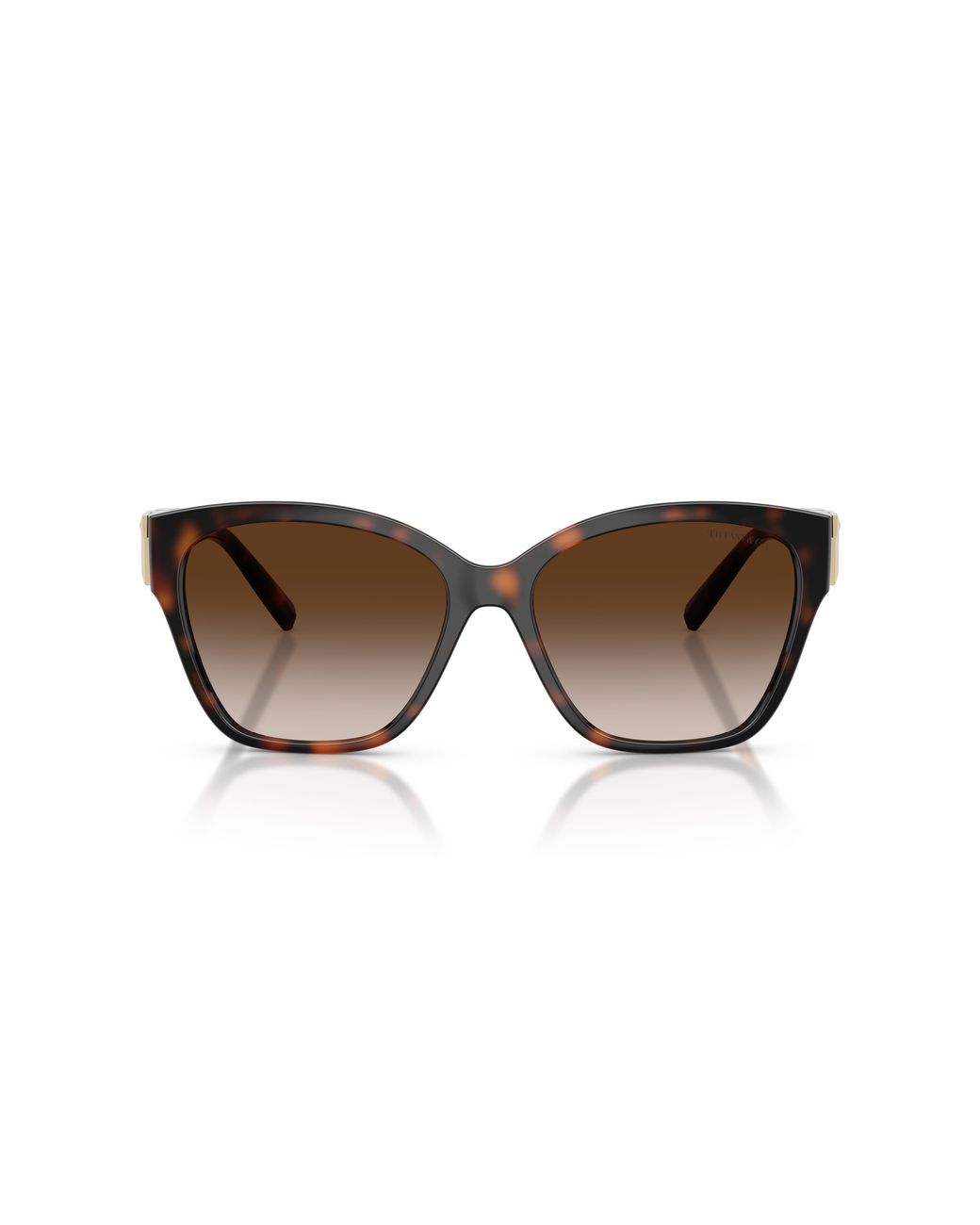 Tiffany & Co Black Tf4254U 80153B Sunglasses Injected Squared Normal Nuanced