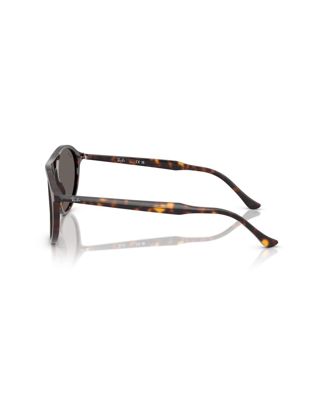 Ray-Ban Black Ray