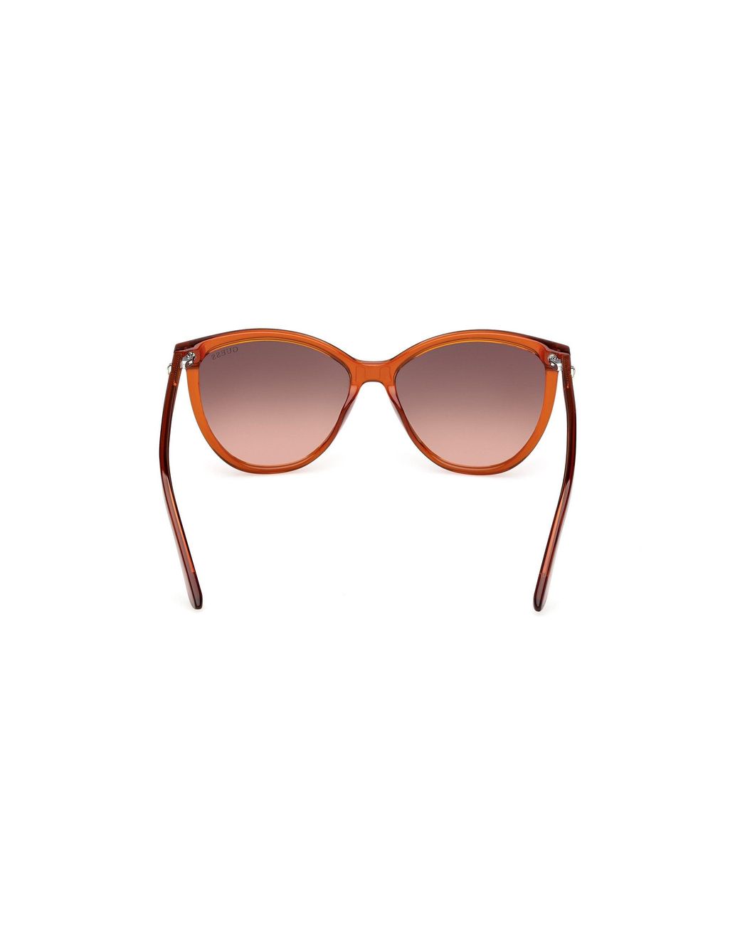 Guess Black Gu00256 44F Sunglasses Injected Cat Eye Normal