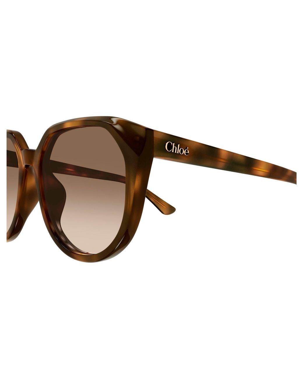 Chloé Black Ch0291Sk 003 Sunglasses Acetate Squared