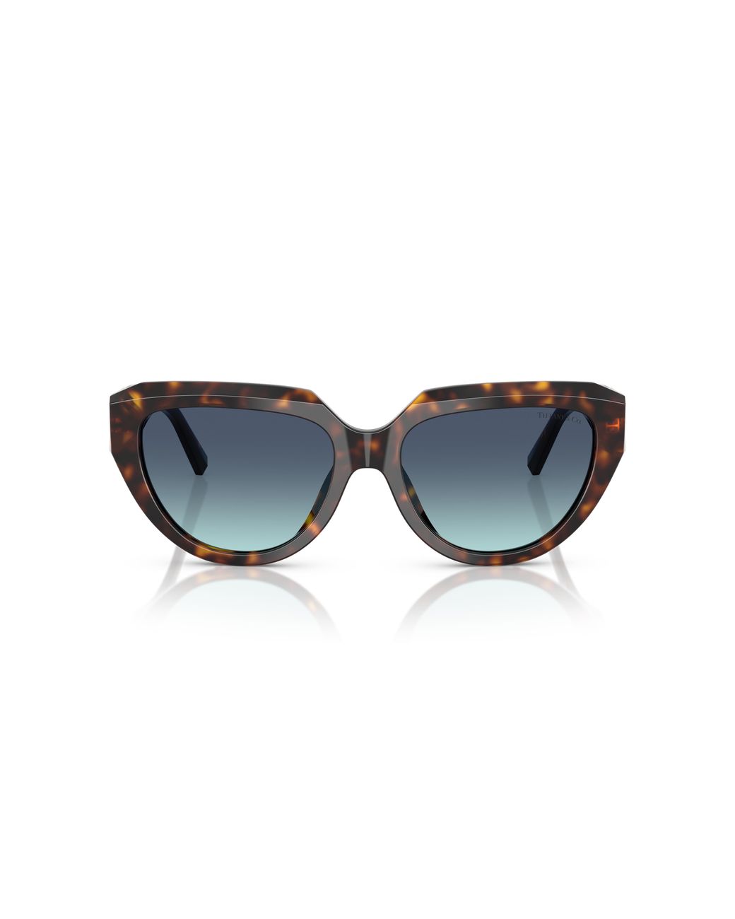 Tiffany & Co Black Tf4238U 84649S Sunglasses Acetate Pillow Normal Nuanced