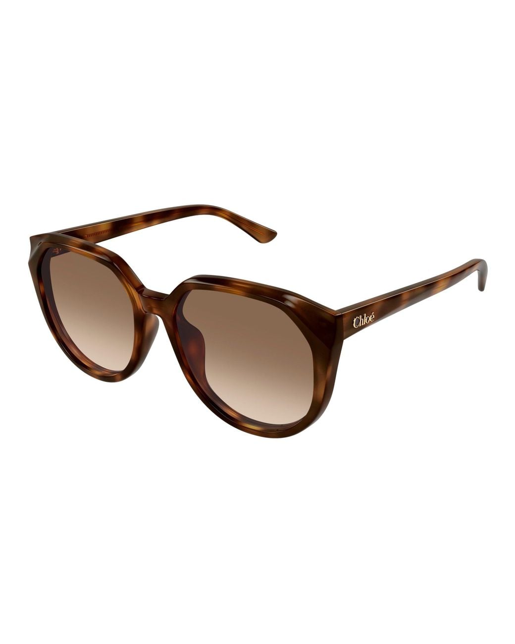 Chloé Black Ch0291Sk 003 Sunglasses Acetate Squared