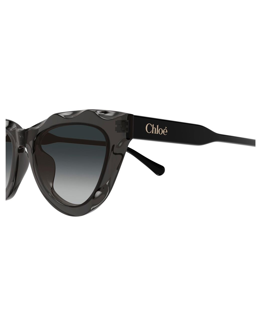 Chloé Black Ch0294S 001 Sunglasses Acetate Cat Eye