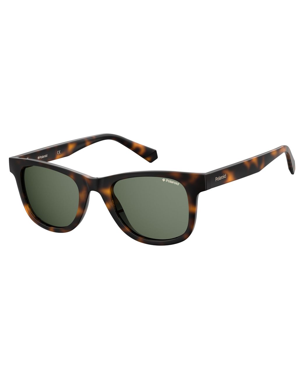 Polaroid Black Pld 1016/S/New 086/Uc Sunglasses Plastic Squared for men