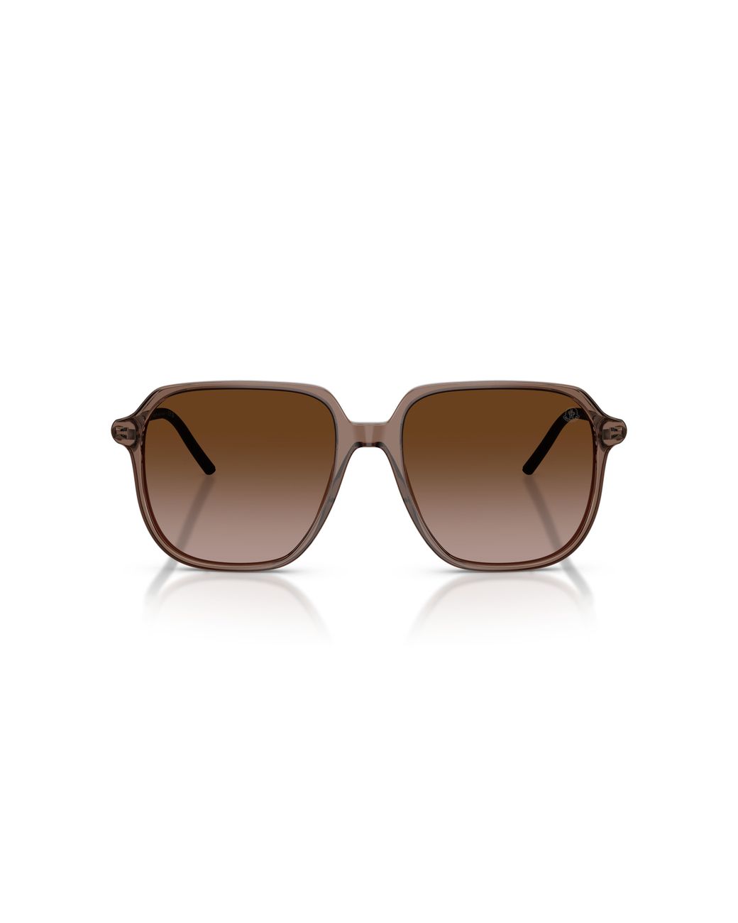 Moncler Black Me6010 Cylin 301813 Sunglasses Acetate Pilot Normal Nuanced
