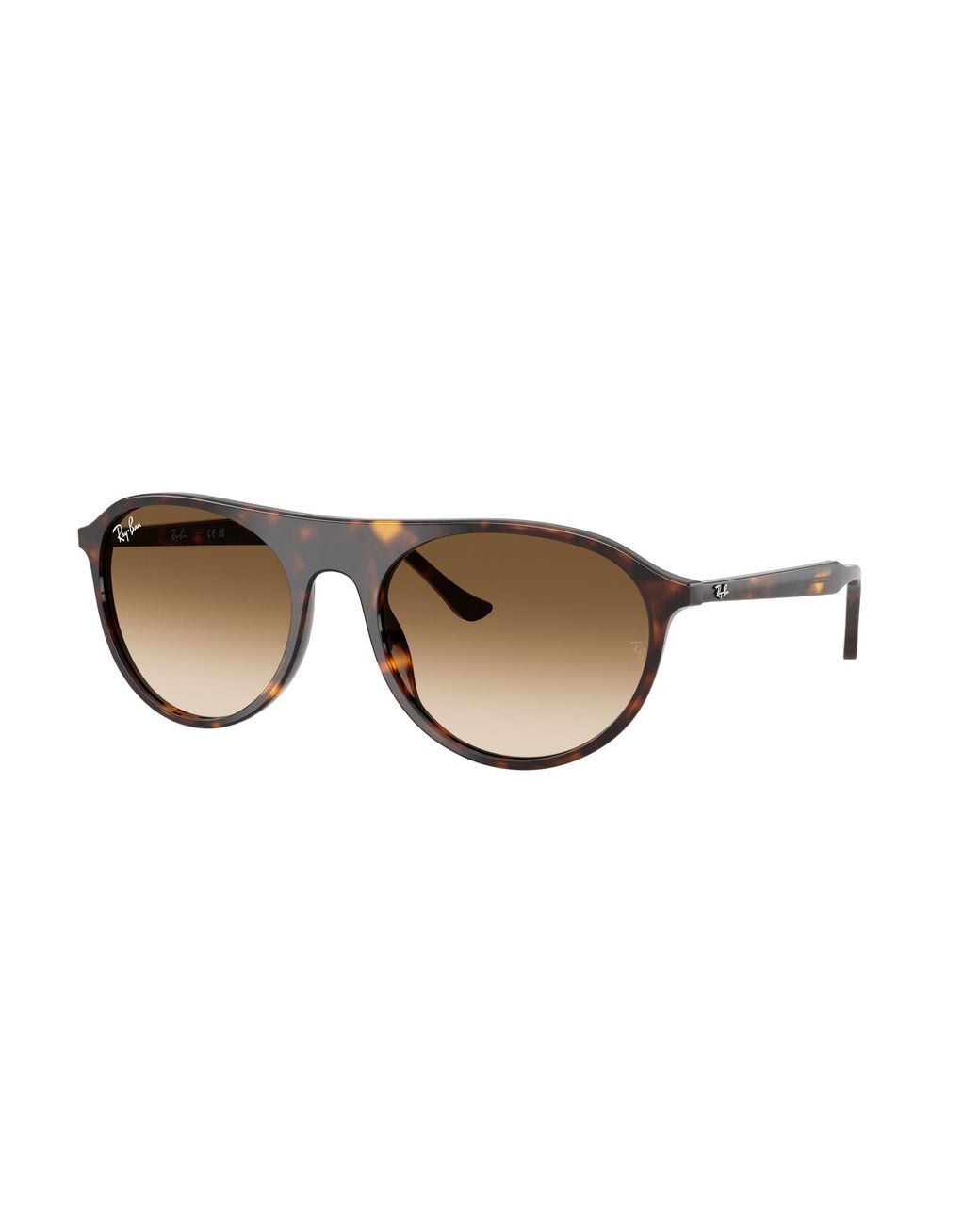 Ray-Ban Black Ray