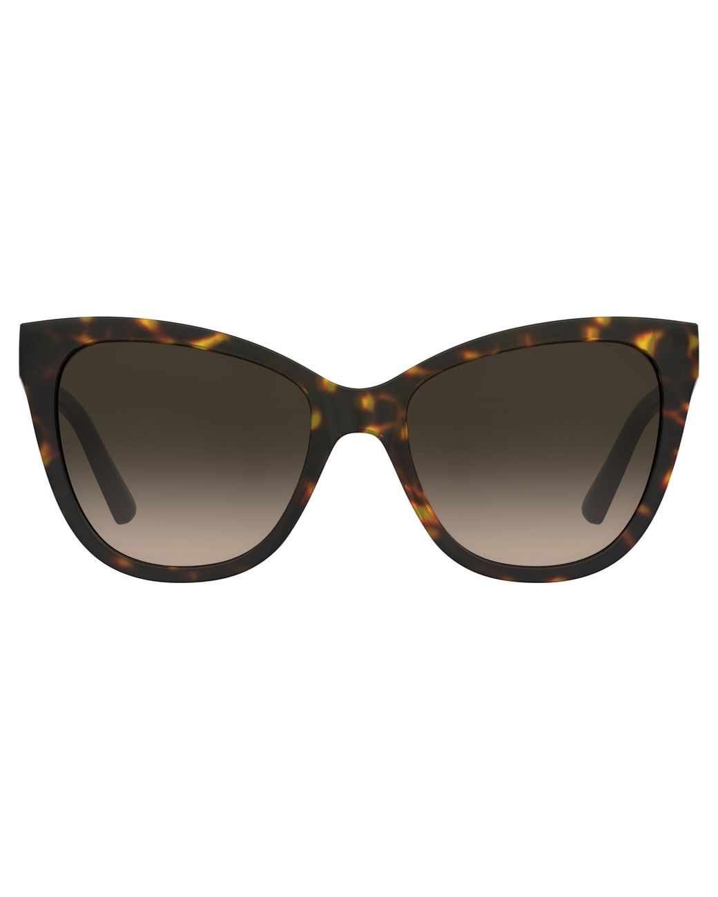 Moschino Black Mol097/S 086/Ha Sunglasses Acetate Cat Eye Normal Shaded