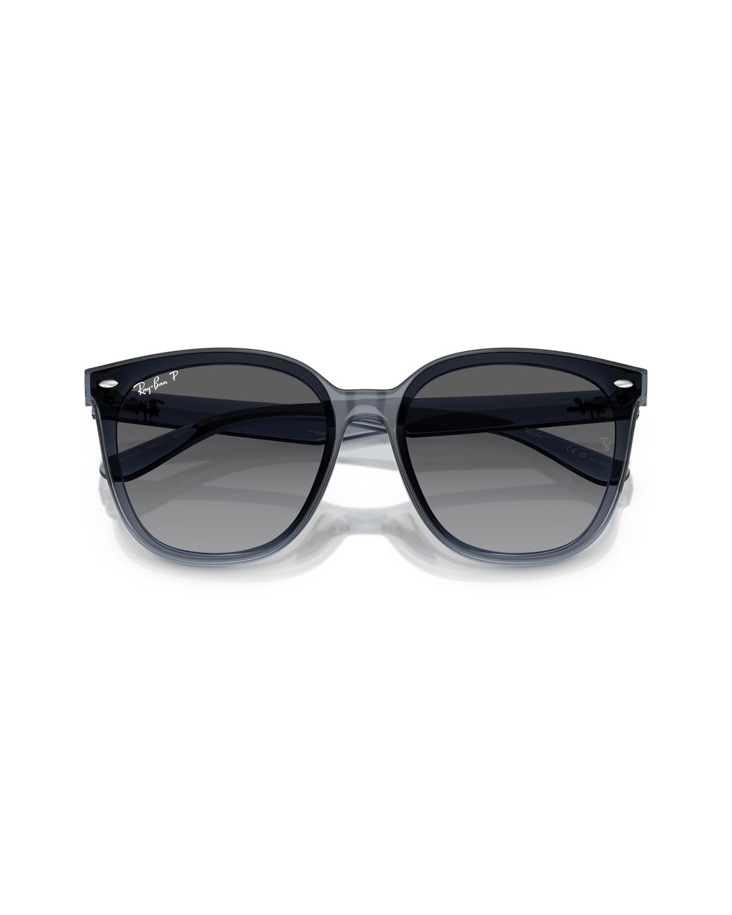 Ray-Ban Black Ray