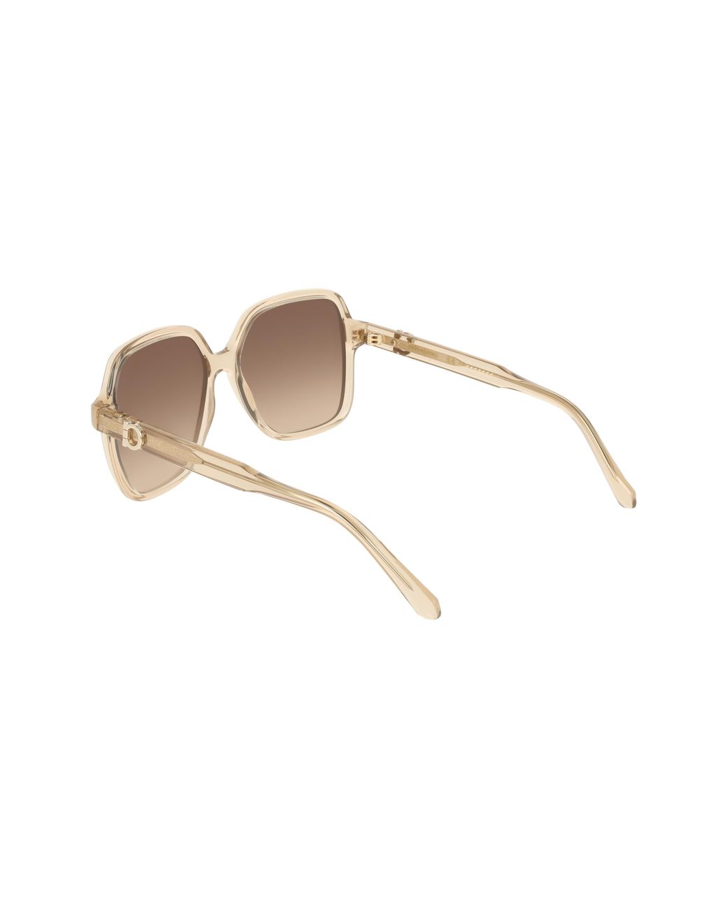 Ferragamo Black Sf2069Se 259 Sunglasses Squared Normal