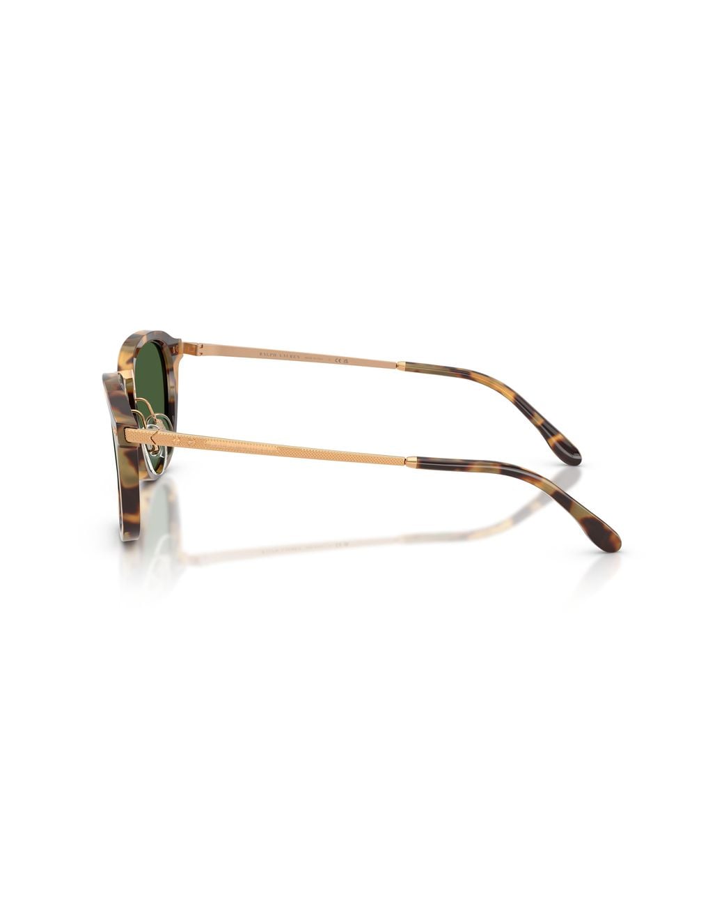 Ralph Lauren Green Rl8246 633971 Sunglasses Acetate Pantos Normal for men