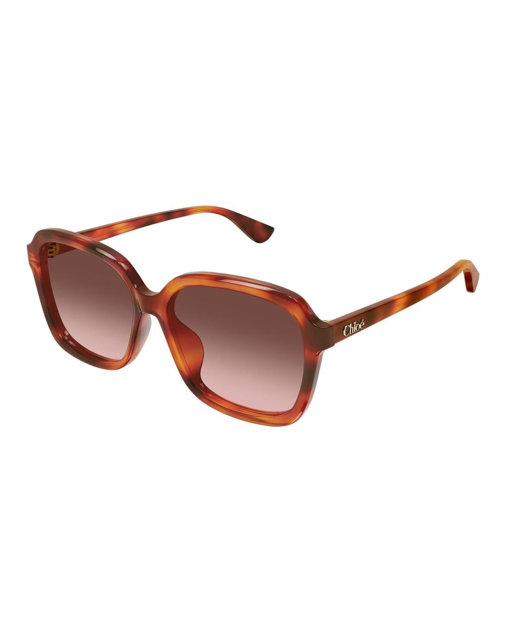Chloé Black Ch0390Sk 002 Sunglasses Acetate Copper Squared Nuanced