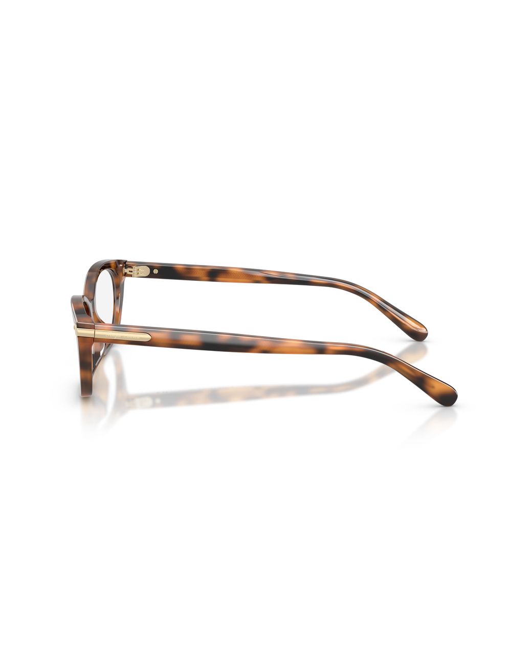 Ralph Lauren Black Rl6268U 6089 Optical Frames Acetate Transparent Cat Eye Normal