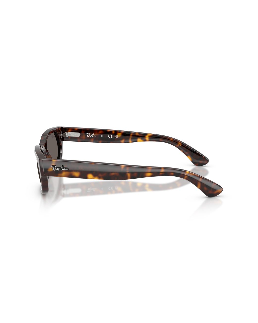Ray-Ban Black Ray