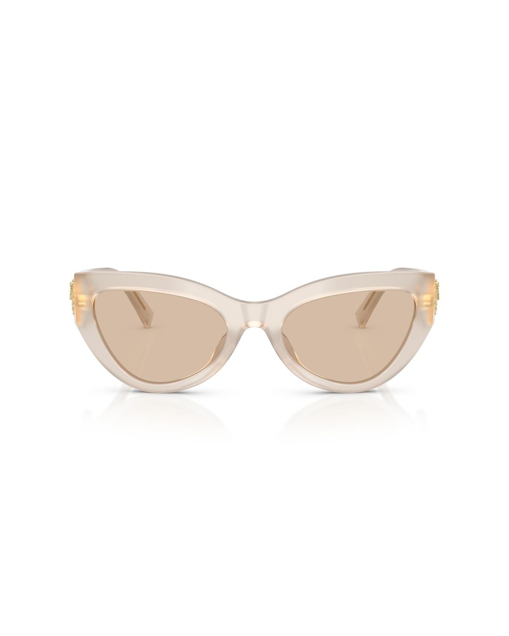 Dolce & Gabbana Black Dg4536 342093 Sunglasses Acetate Cat Eye Normal