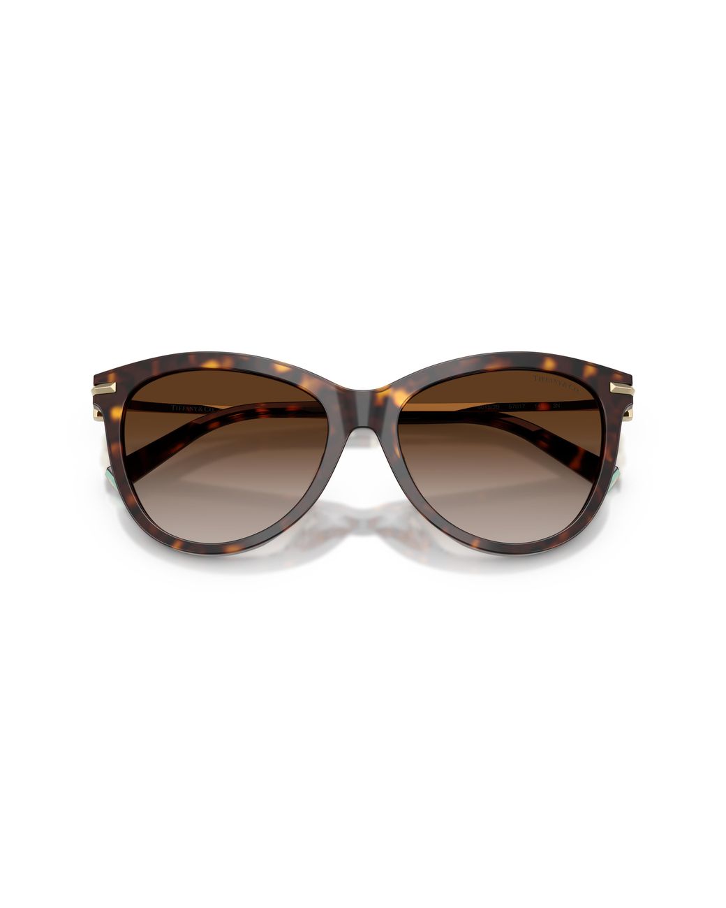 Tiffany & Co Black Tf4258Bu 80153B Sunglasses Acetate Pantos Normal Nuanced