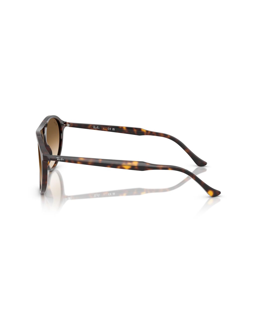 Ray-Ban Black Ray
