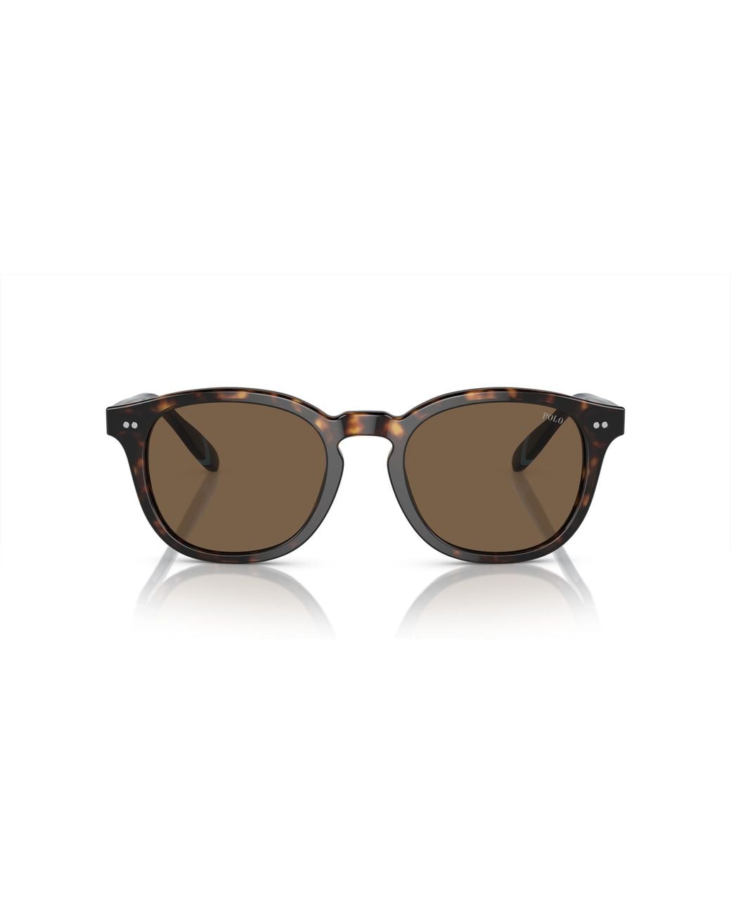 Polo Ralph Lauren Black Ph4206 500373 Sunglasses Acetate Pantos Normal for men