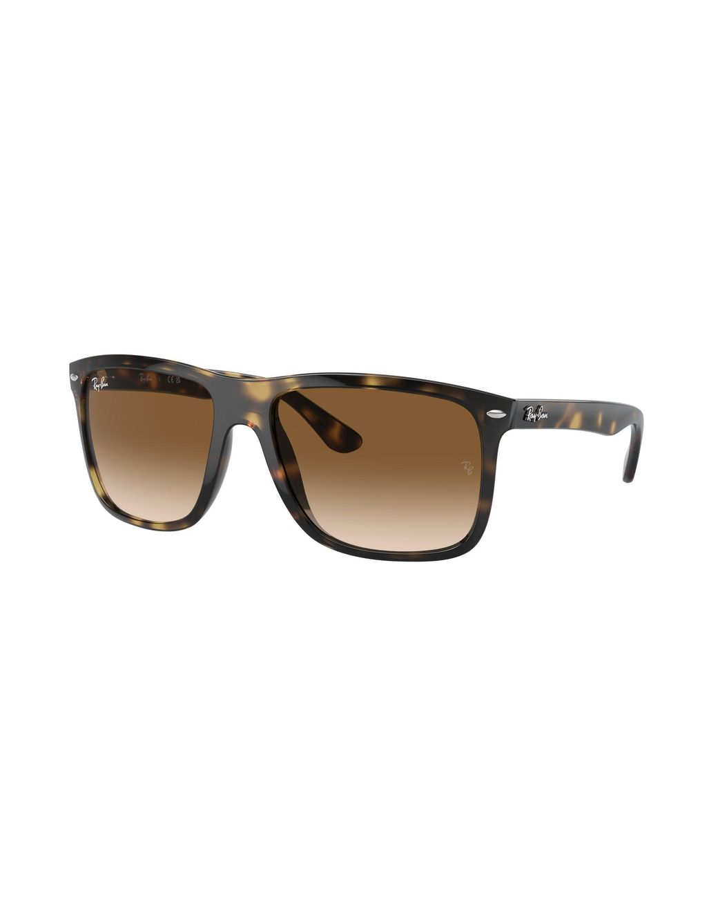 Ray-Ban Black Ray