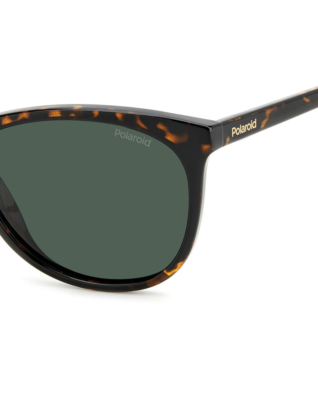 Polaroid Green Pld 4161/S 086/Uc Sunglasses Polycarbonate Cat Eye Polarized