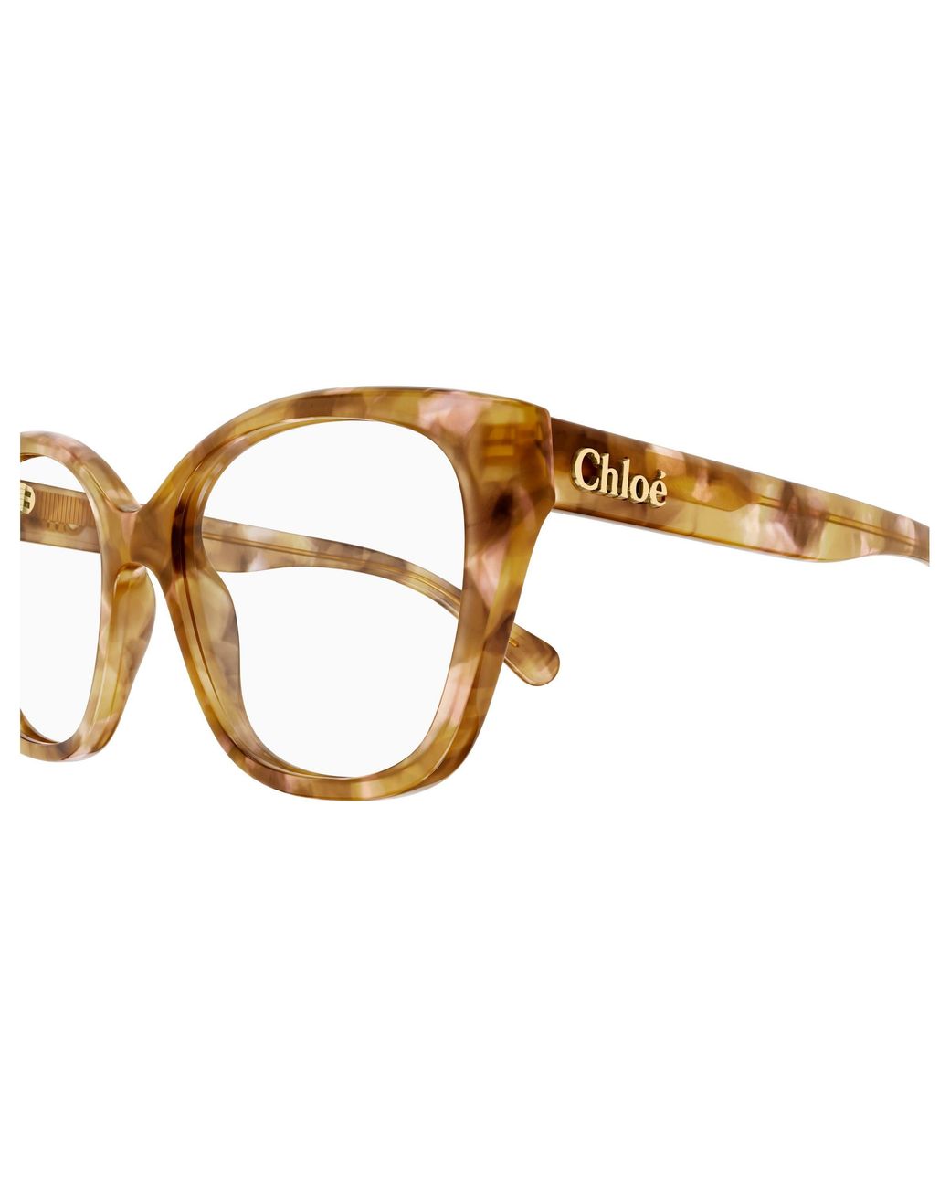 Chloé Black Ch0241O 006 Optical Frames Acetate Transparent Cat Eye