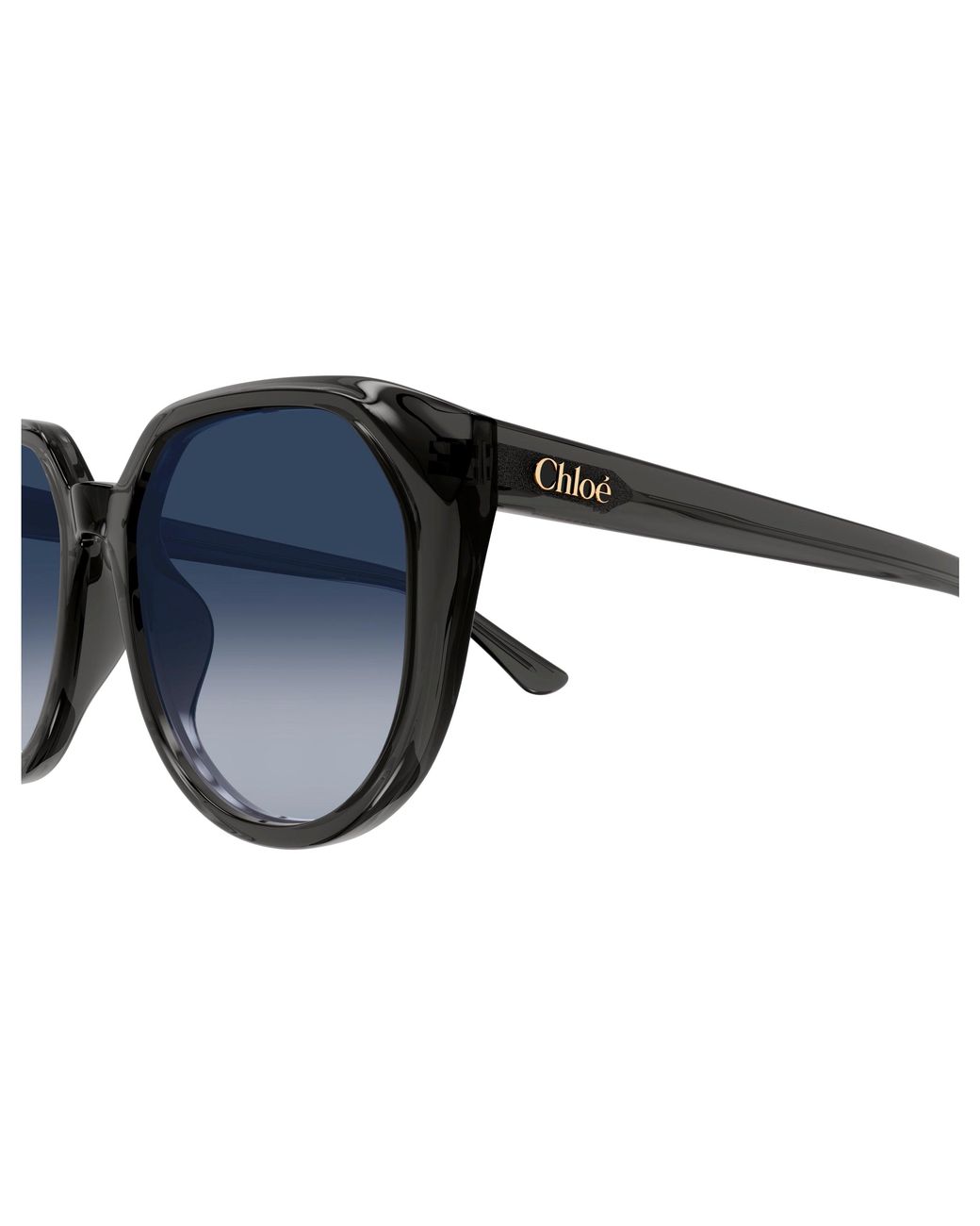 Chloé Black Ch0291Sk 001 Sunglasses Acetate Squared