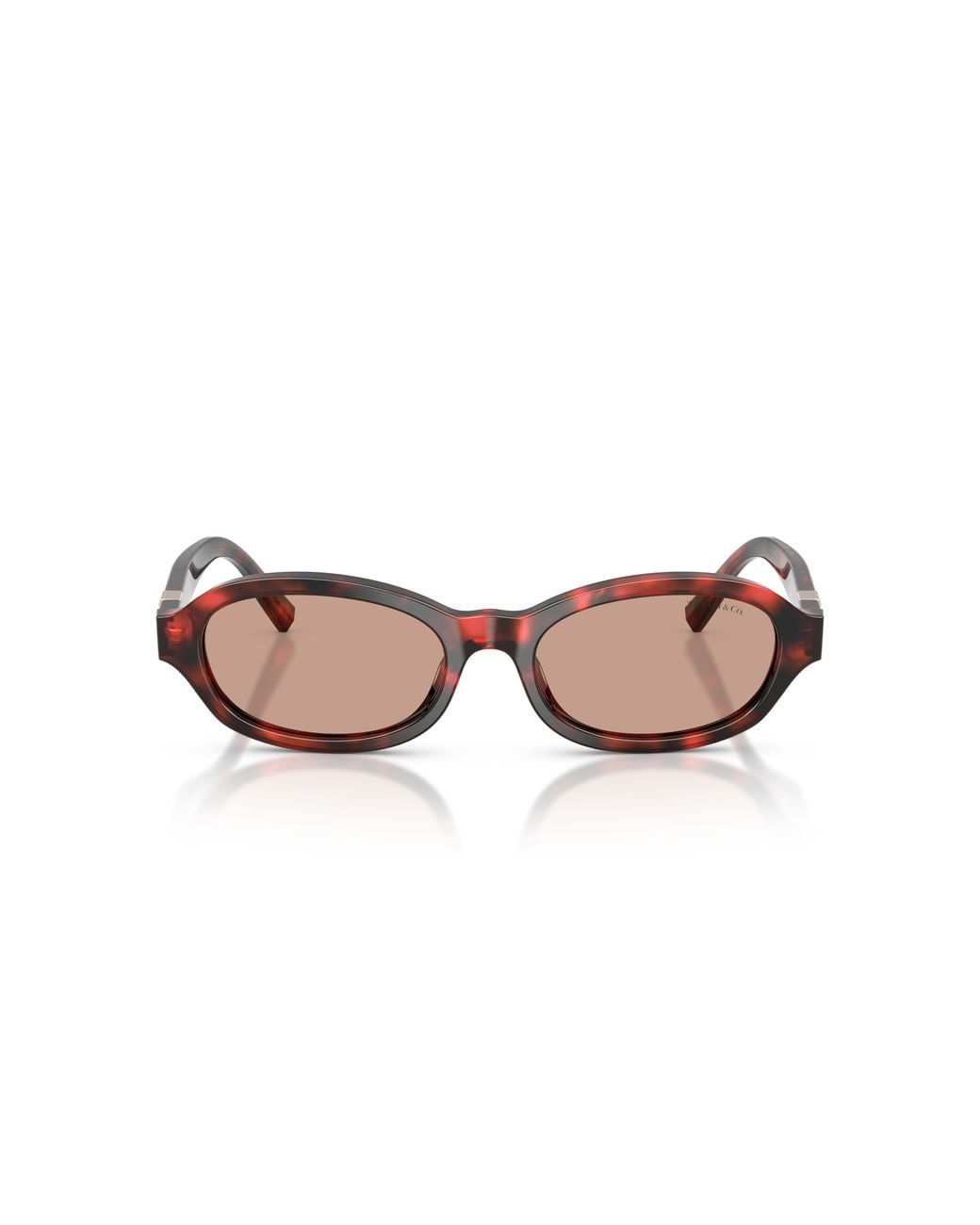 Tiffany & Co Black Tf4270U 847873 Sunglasses Acetate Round Normal